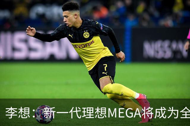 李想：新一代理想MEGA将成为全球最优质的MPV
